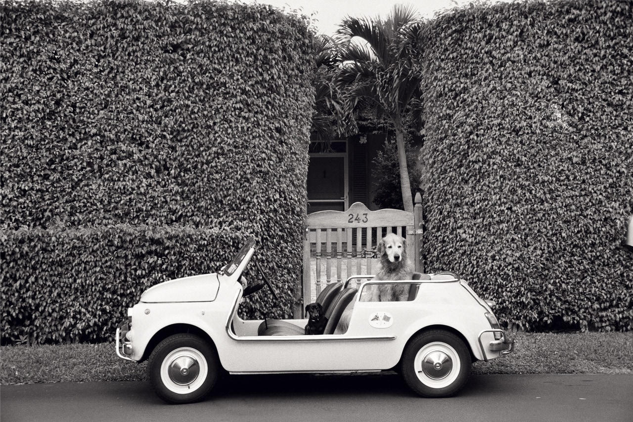 In the Jolly, Palm Beach